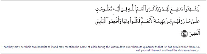 Quran verse 28, Allah ﷻ say
