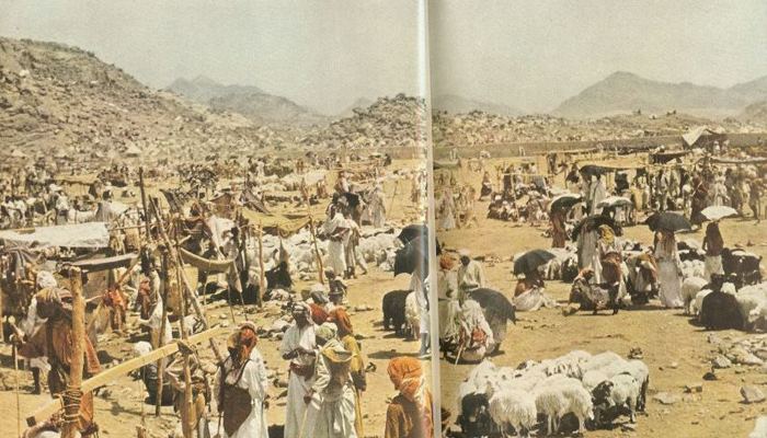Animals in the market of Makkah during the Hajj 1953